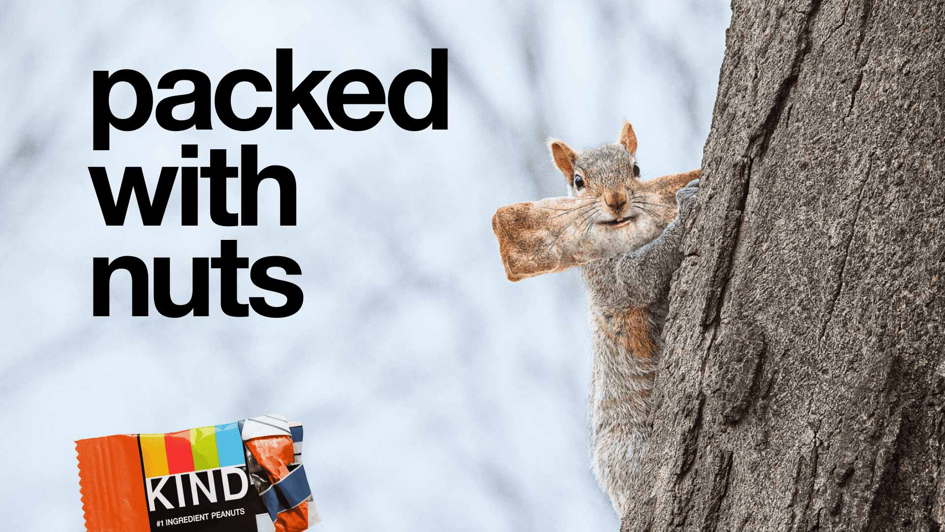 Packed with Nuts
